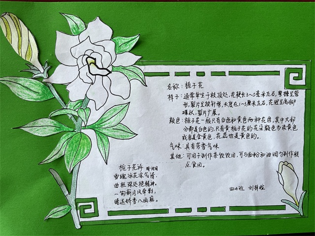 4fee1be3e50c405aa0cc890af6dd060b.JPG