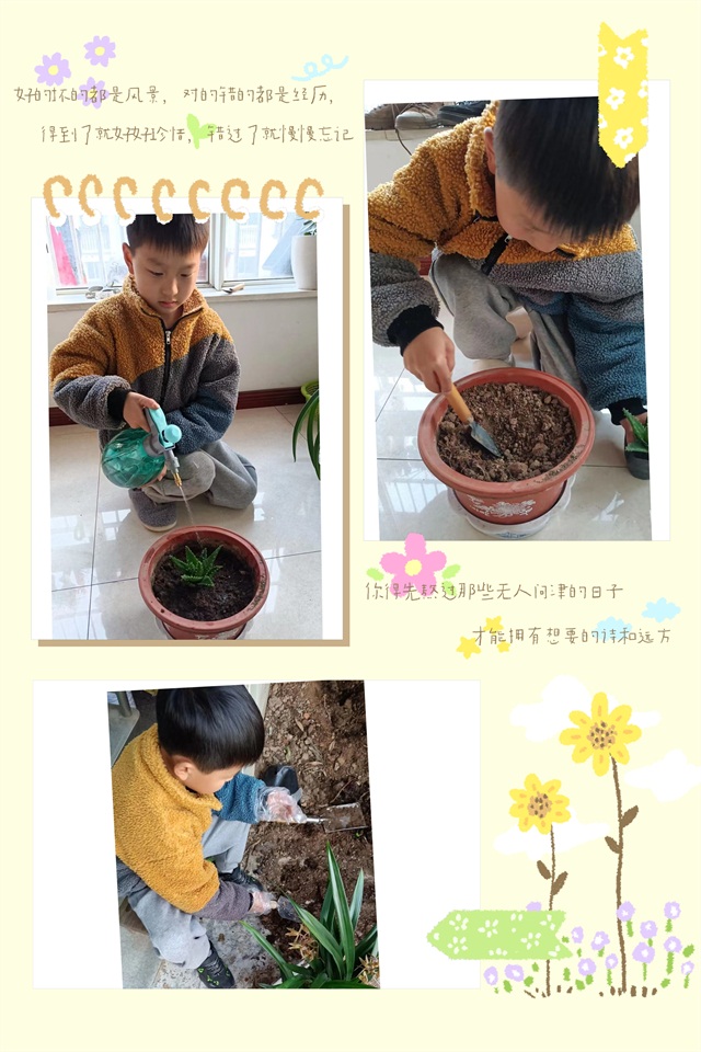 dd696d6ac8c742169ecbee6b9654b942.jpg