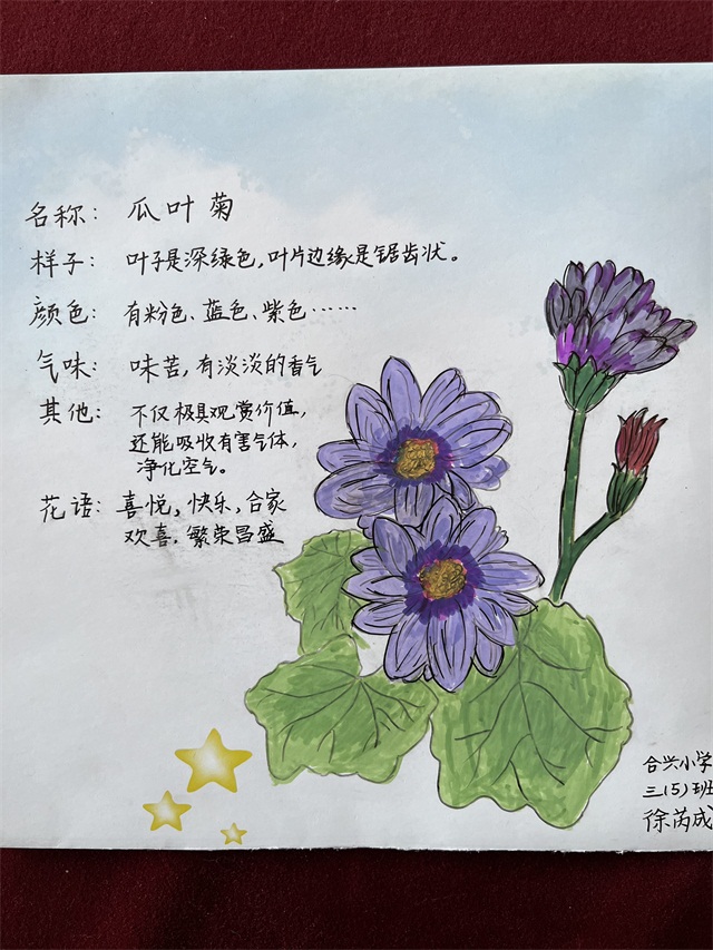 ee1b53e6addb4af8b44dd07f76fae16f.JPG